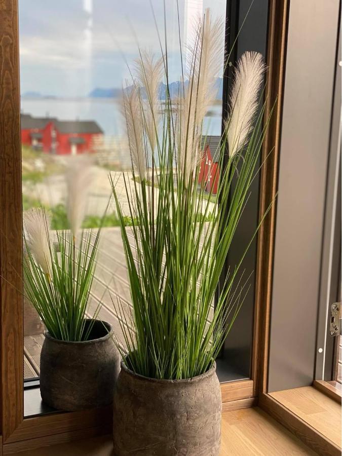 Superior Lofoten *
