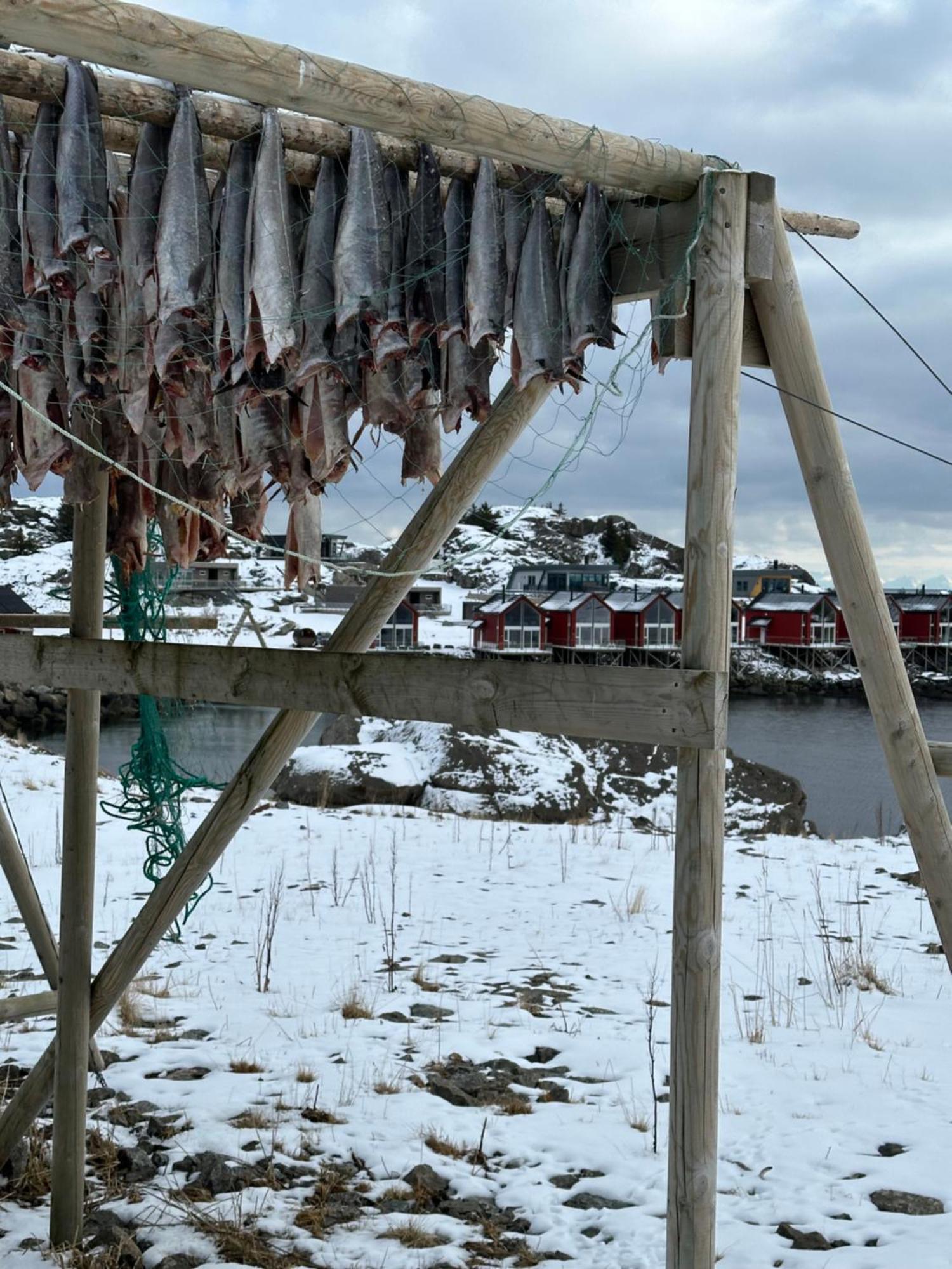 Superior Lofoten Holiday home