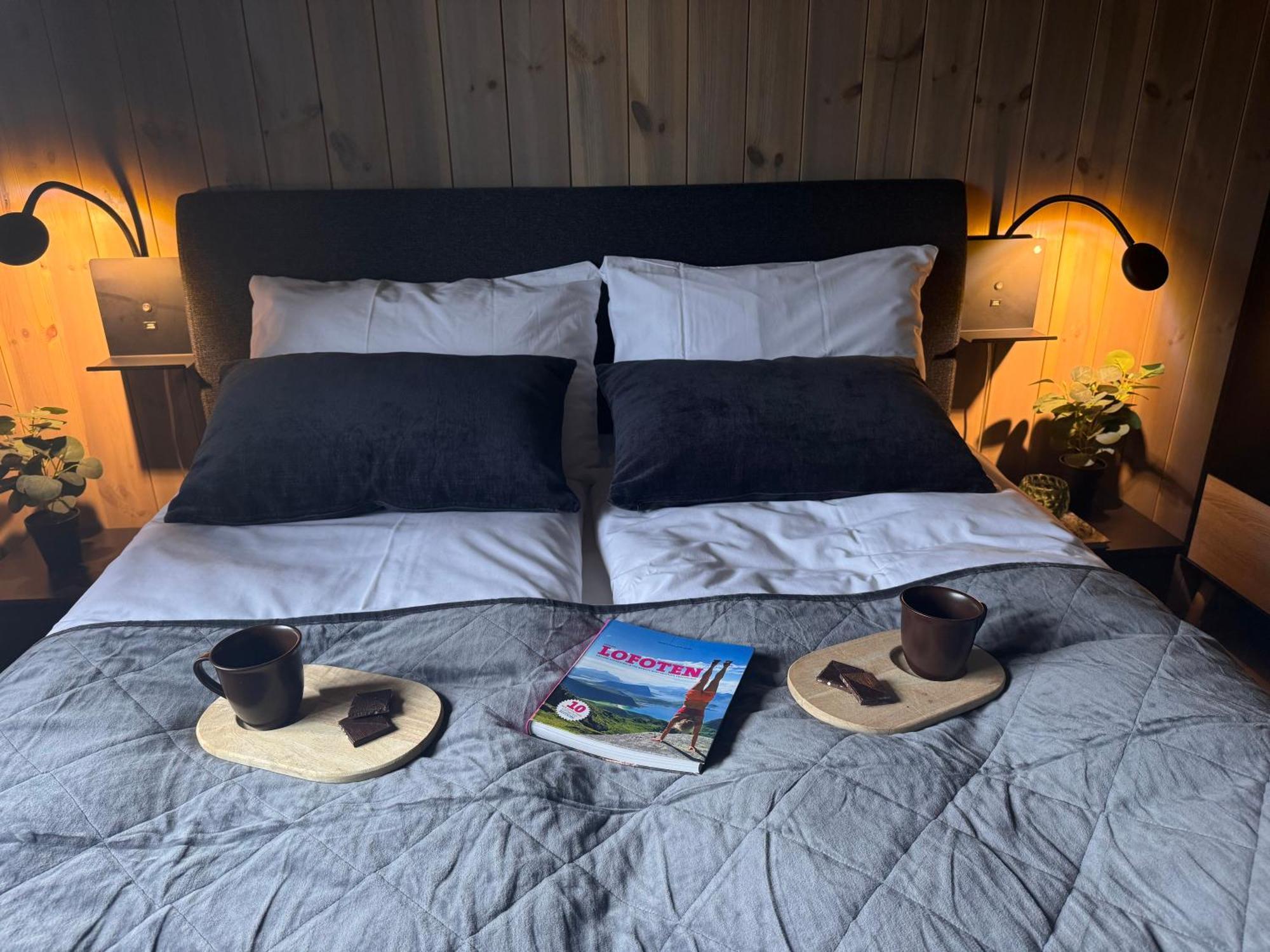 Superior Lofoten Holiday home Ballstad