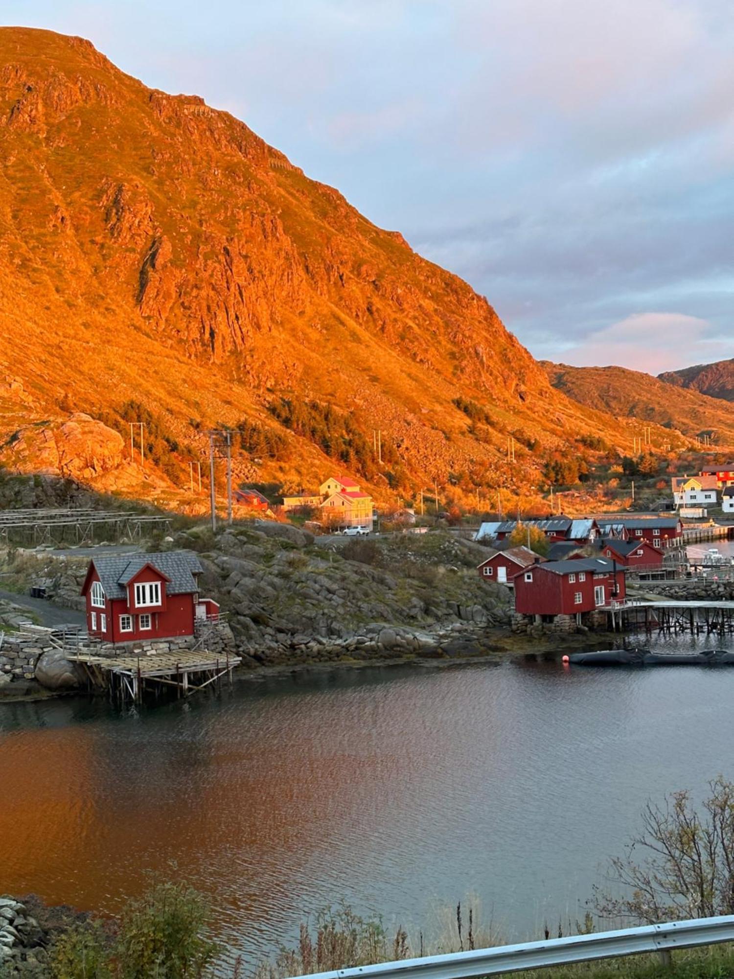 Superior Lofoten